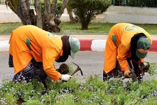 أسماء وهمية في لوائح العمال العرضيين تشعل تحقيقات داخل جماعات بجهة البيضاء