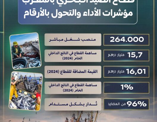 سجّل قطاع الصيد البحري بالمغرب مؤشرات أداء إيجابية خلال سنة 2024، وفق معطيات رسمية صادرة عن كتابة الدولة المكلفة بالصيد البحري، حيث يوفر القطاع نحو 264 ألف منصب شغل مباشر، ويساهم بـ15,7 مليار درهم في الناتج الداخلي الخام. كما بلغت القيمة المضافة للقطاع حوالي 16,01 مليون درهم خلال السنة نفسها، فيما تمثل مساهمته نسبة 1 في المائة من الناتج الداخلي الخام الوطني. وأكدت المعطيات أن 96 في المائة من المصايد تُدار بشكل مستدام.