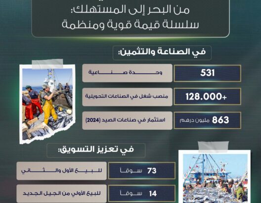 قطاع الصيد البحري بالمغرب .. من البحر إلى المستهلك: سلسلة قيمة قوية ومنظمة