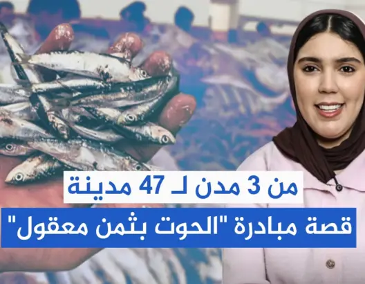 من 3 مدن لـ 47 مدينة.. قصة مبادرة "الحوت بثمن معقول"