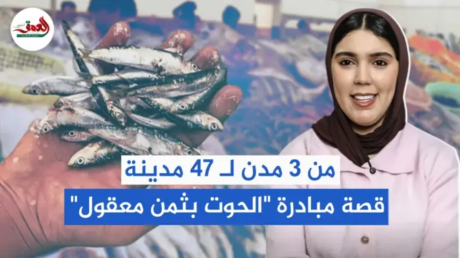 من 3 مدن لـ 47 مدينة.. قصة مبادرة "الحوت بثمن معقول"