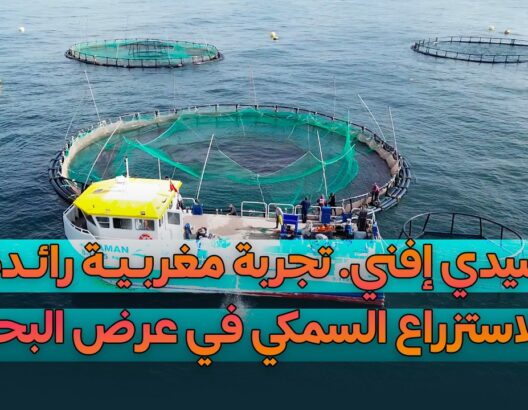 بمواصفات تكنولوجية حديثة.. المغرب يطلق أول "مزرعة سمكية" نموذجية في عرض البحر بسيدي إفني