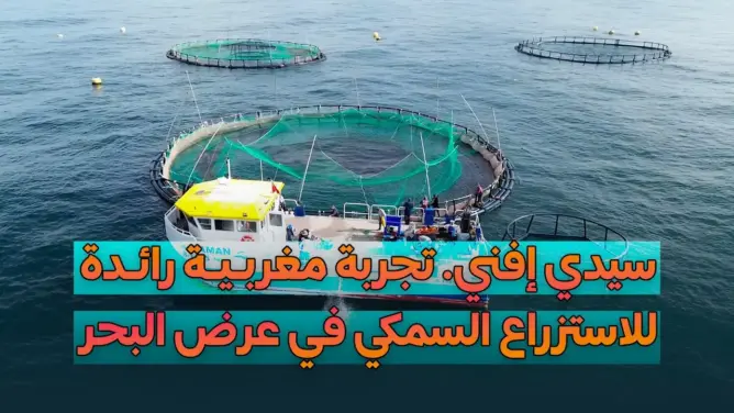 بمواصفات تكنولوجية حديثة.. المغرب يطلق أول "مزرعة سمكية" نموذجية في عرض البحر بسيدي إفني