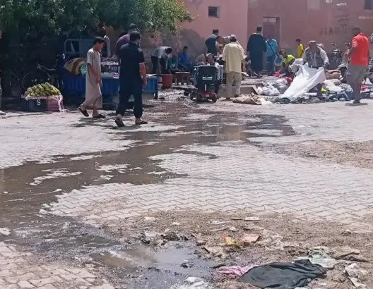 تسرب المياه العادمة يغرق ساحة مسجد بـ"تمصلوحت" ومطالب بتدخل عاجل لـ"الأوقاف"
