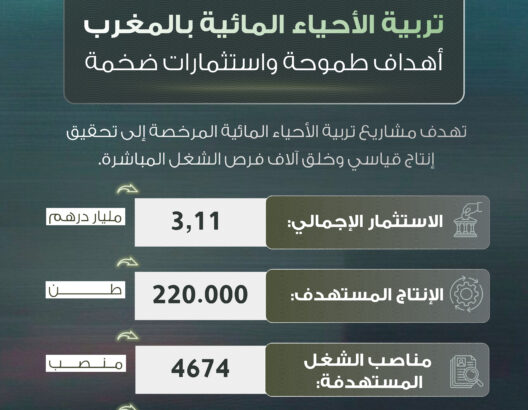 تربية الأحياء المائية بالمغرب أهداف طموحة واستثمارات ضخمة