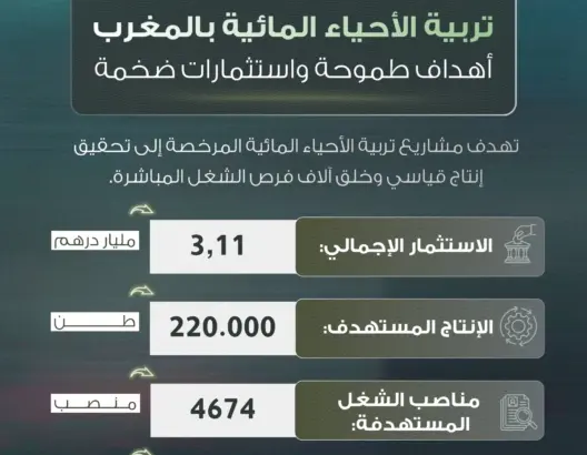 تربية الأحياء المائية بالمغرب أهداف طموحة واستثمارات ضخمة