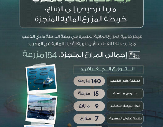 تربية الأحياء المائية بالمغرب من الترخيص إلى الإنتاج.. خريطة المزارع المائية المنجزة