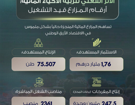 الأثر الفعلي لتربية الأحياء المائية.. أرقام المزارع قيد التشغيل