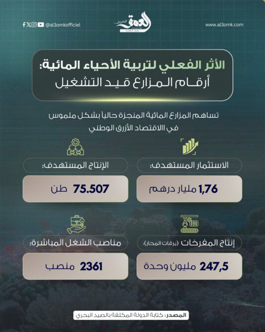 الأثر الفعلي لتربية الأحياء المائية.. أرقام المزارع قيد التشغيل