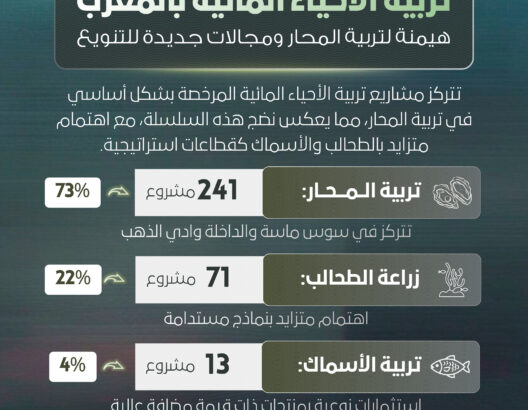 تربية الأحياء المائية بالمغرب.. هيمنة لتربية المحار ومجالات جديدة للتنويع
