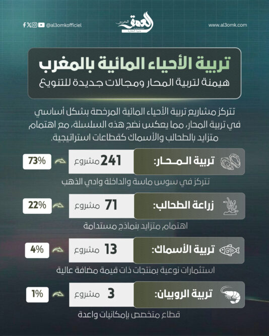 تربية الأحياء المائية بالمغرب.. هيمنة لتربية المحار ومجالات جديدة للتنويع