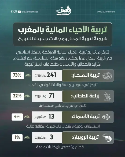 تربية الأحياء المائية بالمغرب.. هيمنة لتربية المحار ومجالات جديدة للتنويع
