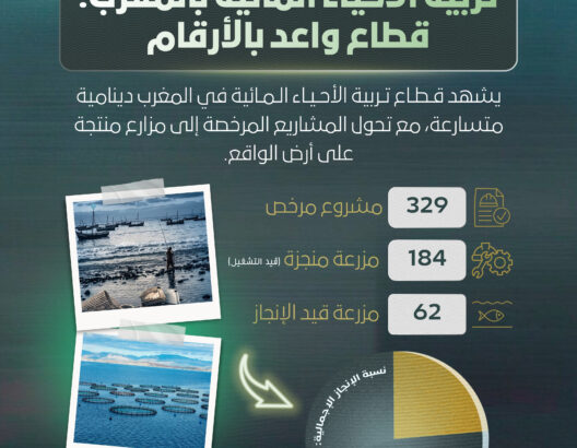 تربية الأحياء المائية بالمغرب.. قطاع واعد بالأرقام