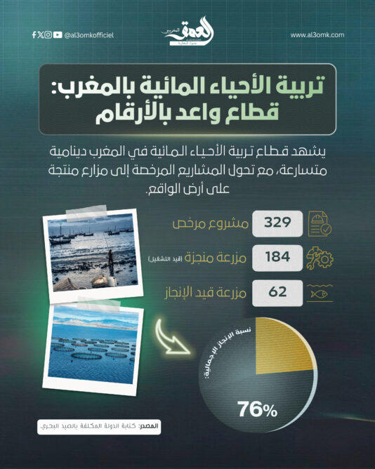 تربية الأحياء المائية بالمغرب.. قطاع واعد بالأرقام