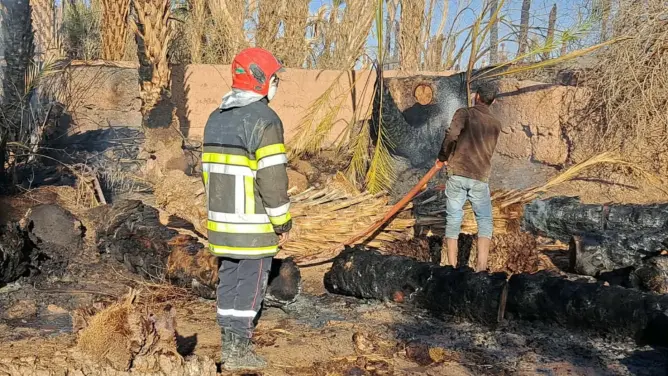 حرائق واحات زاكورة..  “مقابر النخيل” تستصرخ المسؤولين وتكشف هشاشة التدبير