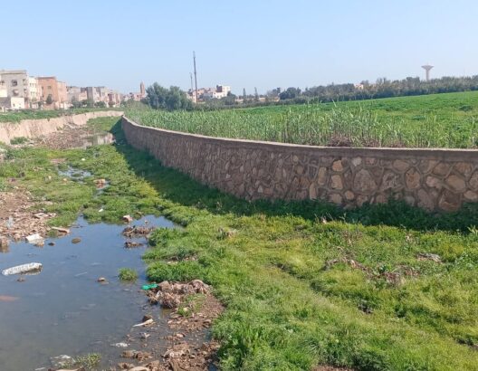 جمعية تطالب بإنقاذ "واد بوشان" بابن جرير من التلوث