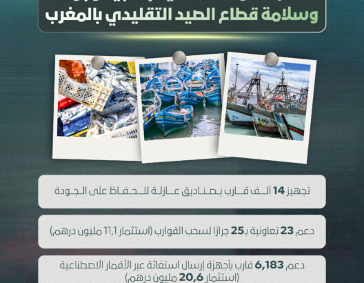 دعم ملموس لتحسين إنتاجية وجودة وسلامة قطاع الصيد التقليدي بالمغرب
