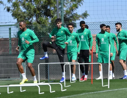 من مونديال الشباب إلى عرين الأسود.. وهبي في مهمة إثبات الذات أمام الإكوادور