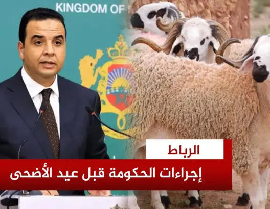 تسريع إعادة تشكيل القطيع الوطني