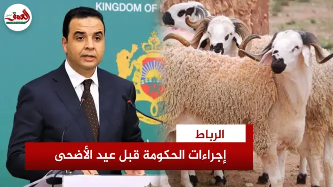تسريع إعادة تشكيل القطيع الوطني