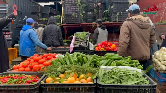 مهنيون لـ”العمق”: ندرة العرض في أسواق الجملة وراء الارتفاع الصاروخي لأسعار الخضر