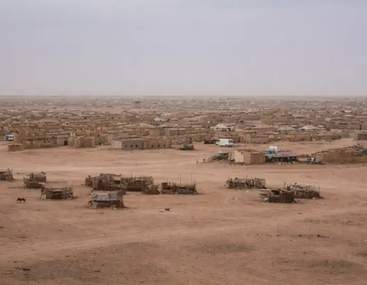 تقرير غوتيريش حول الصحراء.. تحالف مدني يحمل الجزائر والبوليساريو مسؤولية عرقلة المسار السياسي
