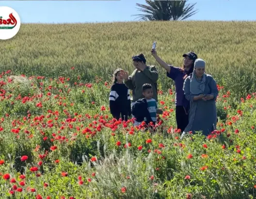 الطبيعة تزهر ضواحي الجديدة