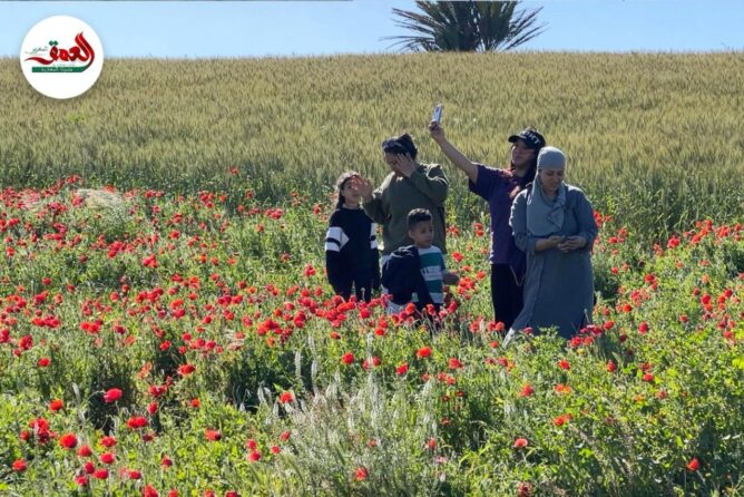 الطبيعة تزهر ضواحي الجديدة