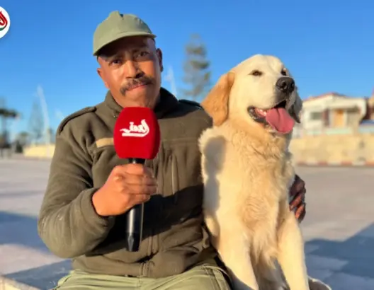 مروض كلاب مغربي يكشف أسرار “الدريساج”