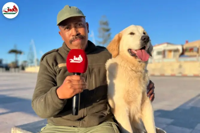 مروض كلاب مغربي يكشف أسرار “الدريساج”