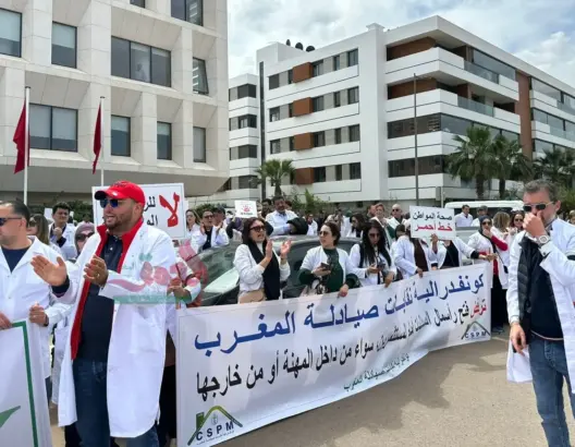 في مراسلة لمجلس الحكومة.. صيادلة المغرب يحذرون من تداعيات مرسوم الأسعار على 50% من الصيدليات