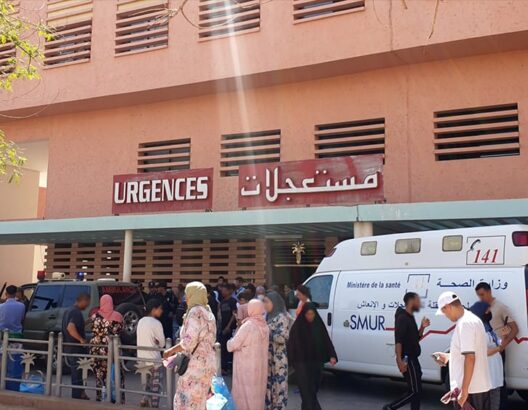 هجوم كلاب ضالة يرسل طفلا إلى مستعجلات مراكش