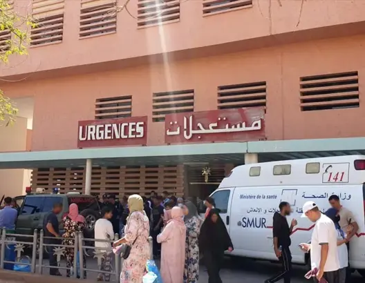 هجوم كلاب ضالة يرسل طفلا إلى مستعجلات مراكش
