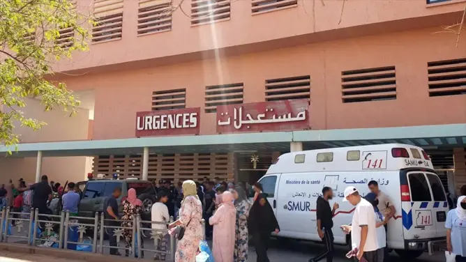 هجوم كلاب ضالة يرسل طفلا إلى مستعجلات مراكش