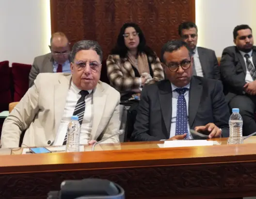 بوعيدة: ملف العقار “عش دبابير” تسكنه الشياطين.. وتغيير العقليات أقوى من وضع القوانين
