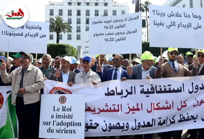 العدول يتحدون وهبي: كفى تذرعا بالمجلس العلمي