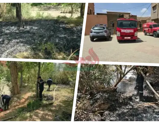 حريق يلتهم حقول بومالن دادس ضواحي تنغير واستنفار كبير لتطويق النيران (صور)