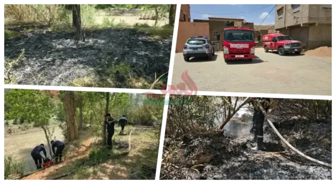 حريق يلتهم حقول بومالن دادس ضواحي تنغير واستنفار كبير لتطويق النيران (صور)