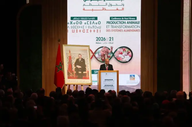 البواري من مكناس: المغرب يتجاوز سنوات الجفاف بموسم فلاحي “استثنائي” وأهداف طموحة للحبوب