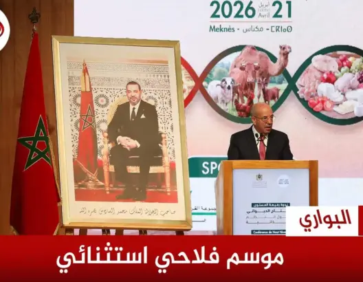 البواري موسم فلاحي استثنائي