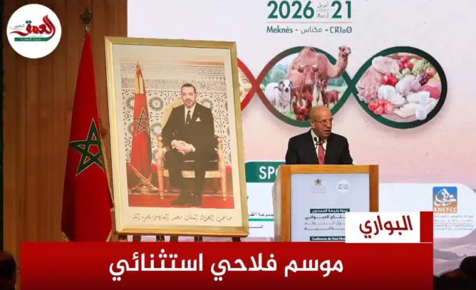 البواري موسم فلاحي استثنائي