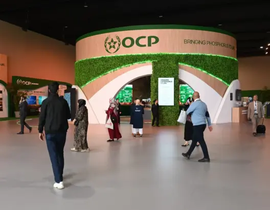 بزيادة في المردودية تتجاوز 100%.. مجموعة “OCP” تعلن عن ابتكارات ذكية لدعم الإنتاج الحيواني