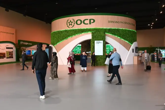 بزيادة في المردودية تتجاوز 100%.. مجموعة “OCP” تعلن عن ابتكارات ذكية لدعم الإنتاج الحيواني