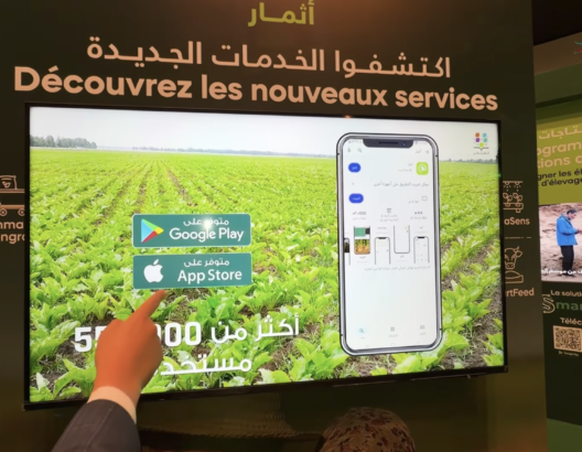 المثمر