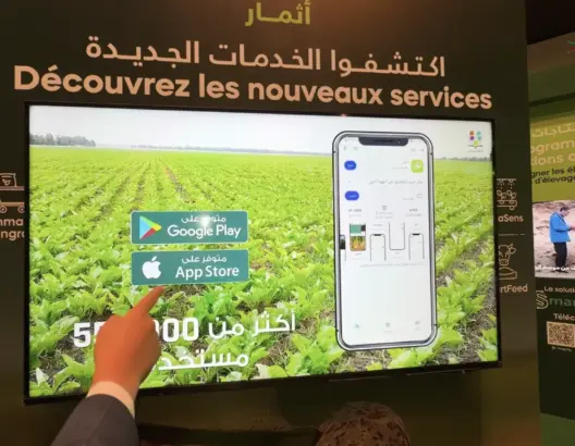 المثمر