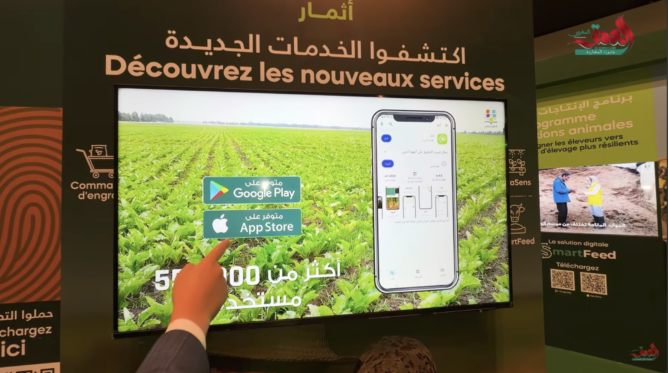 المثمر
