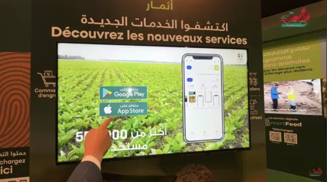 المثمر