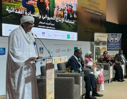 بـ 84 مليون هكتار من الأراضي الخصبة.. السودان يفتح أبوابه للمستثمرين المغاربة