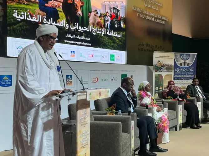 بـ 84 مليون هكتار من الأراضي الخصبة.. السودان يفتح أبوابه للمستثمرين المغاربة