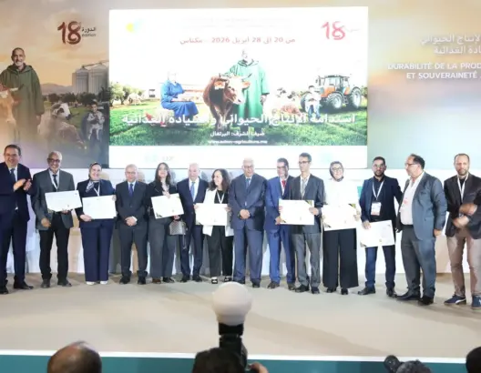 في دورته الـ18.. معرض الفلاحة بمكناس يتوج أفضل منتجي زيت الزيتون بالمغرب 